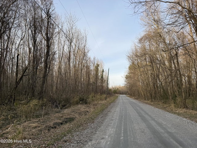 Lot 14 14 Beasley Road, Roper, NC 27970 — photo 4