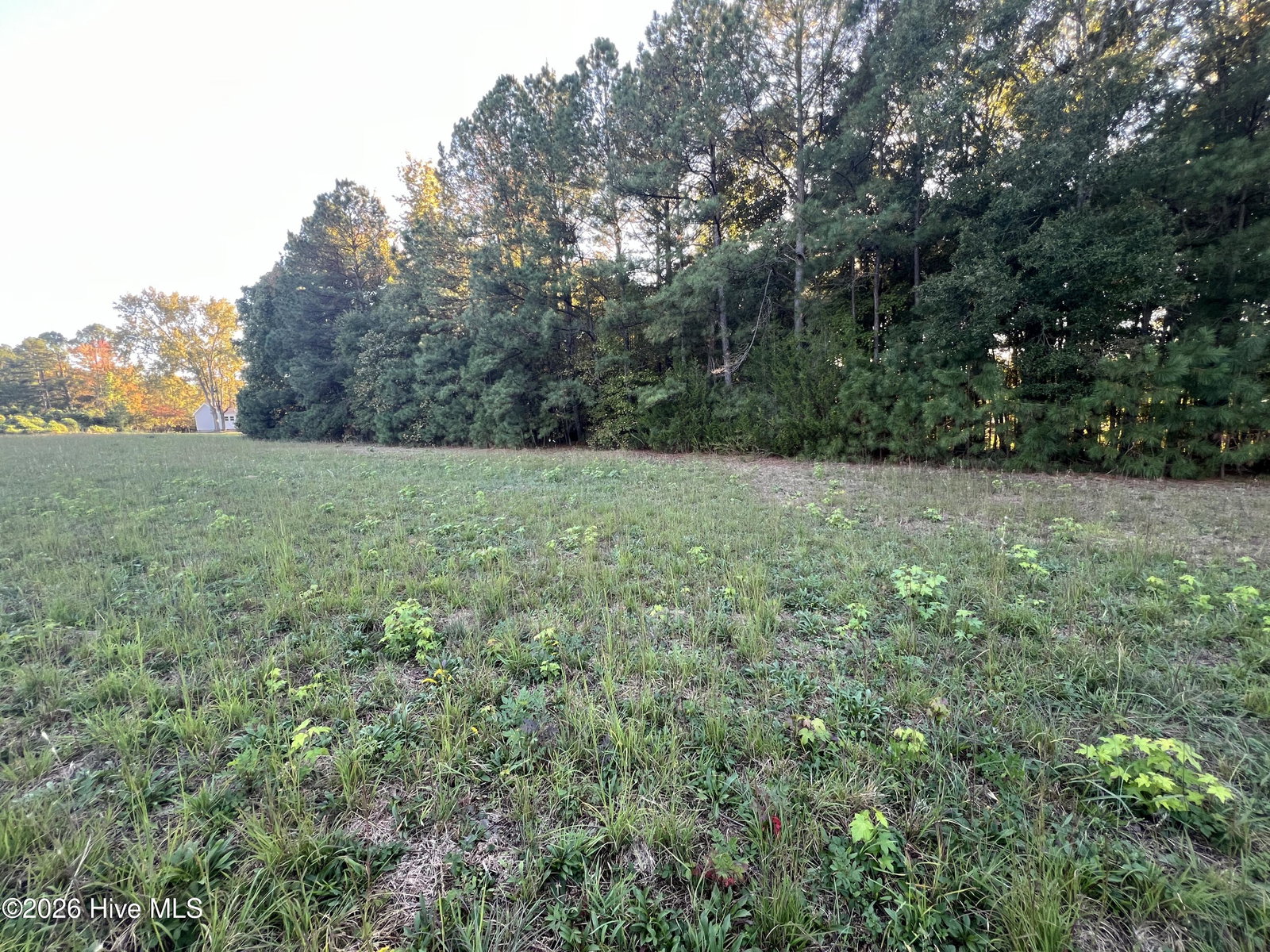 8526 Highway 158, Littleton, NC 27850 — photo 2