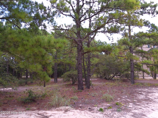 2327 14 False Cape Road, Corolla, NC 27927 — photo 3
