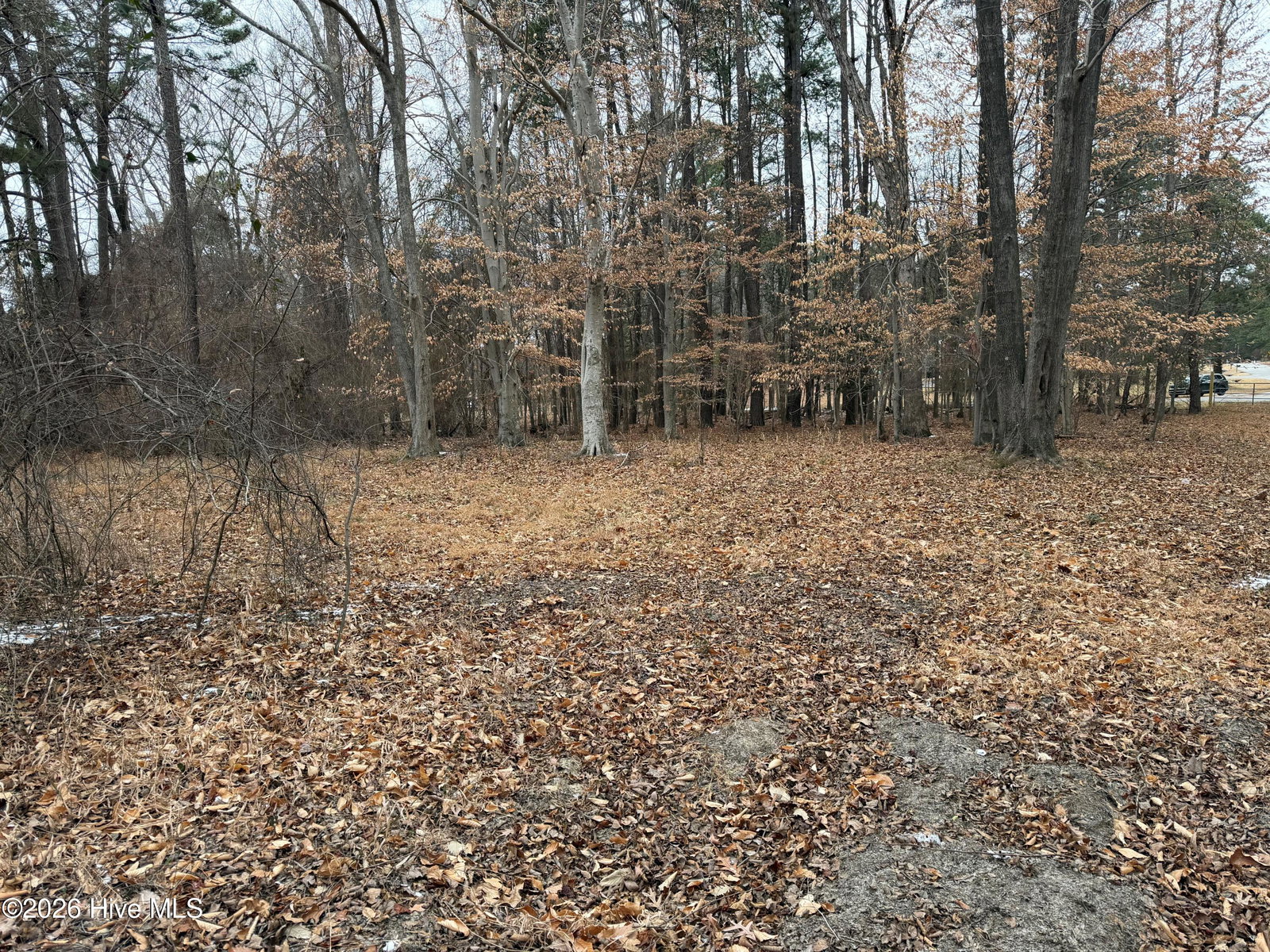 314 End Mansill Drive, Rocky Mount, NC 27804 — photo 5