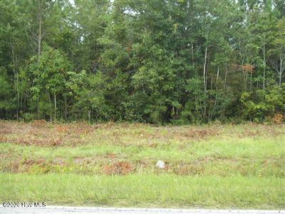 1055 2 Ferry Landing Drive SW image