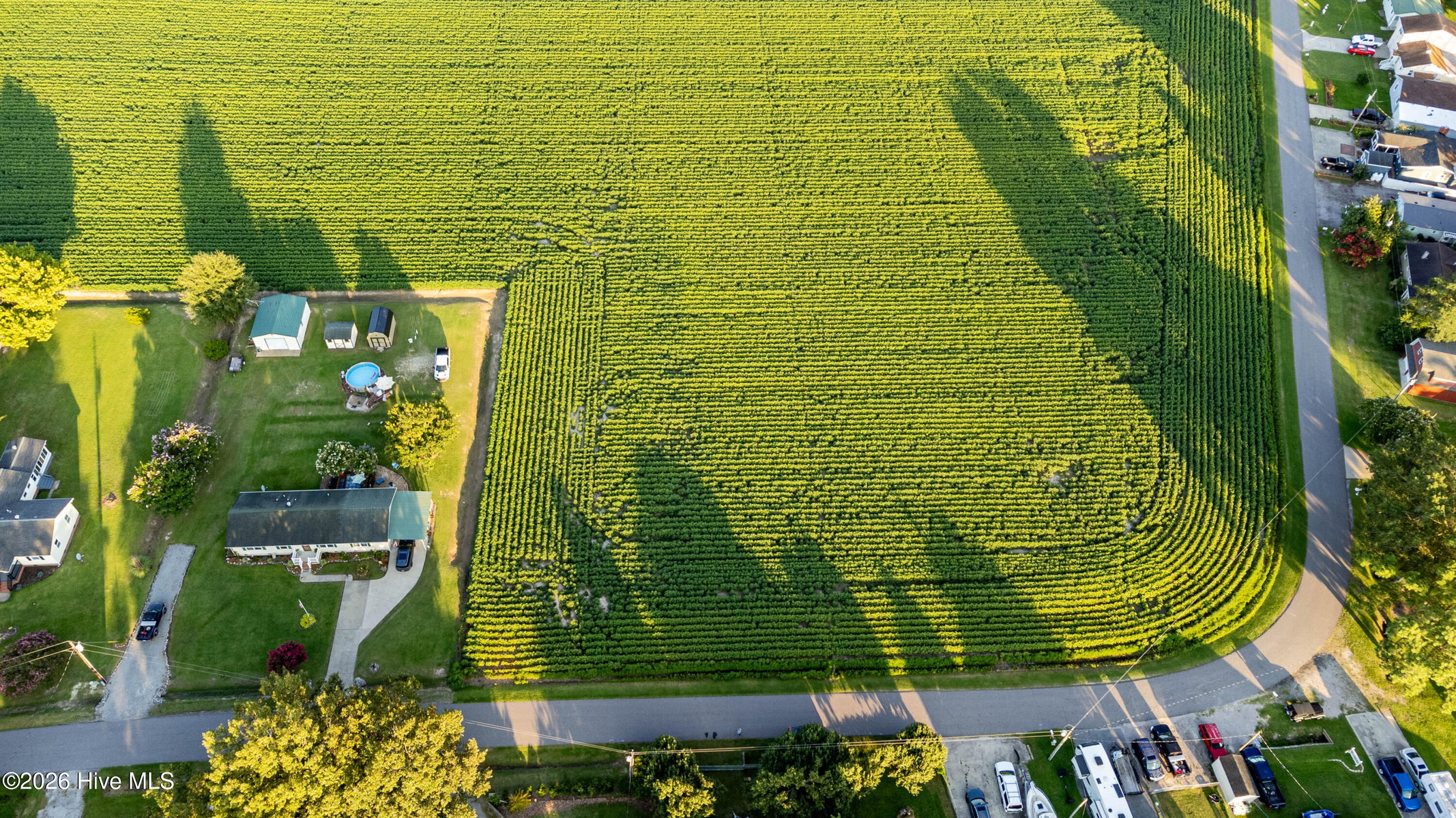 Tbd Lot# 1 Whitehat Road, Hertford, NC 27944 — photo 5