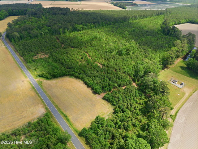 2733 Jim Taylor Road, Stokes, NC 27884 — photo 6
