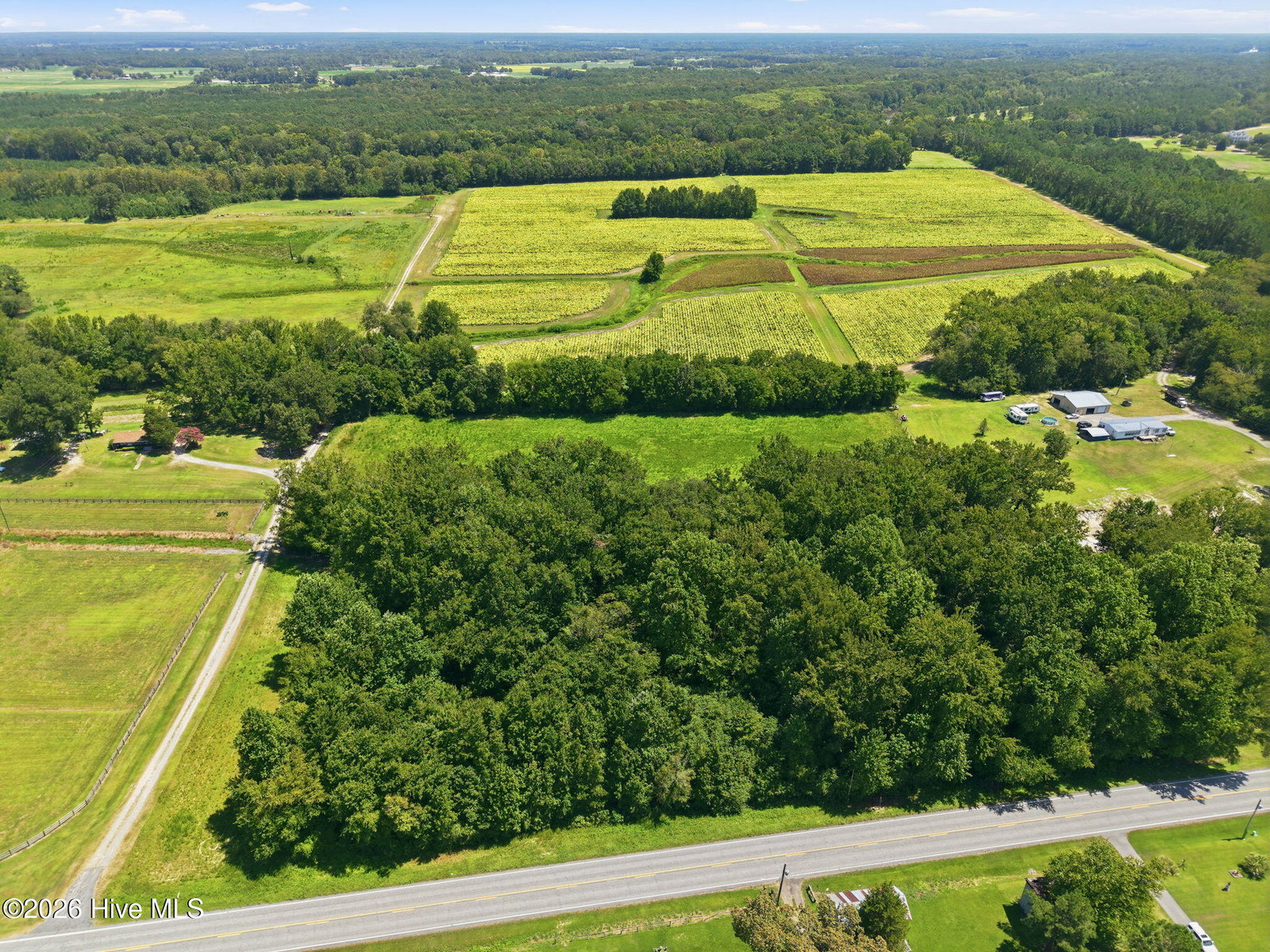 0 N Carolina 43, Macclesfield, NC 27852 — photo 3