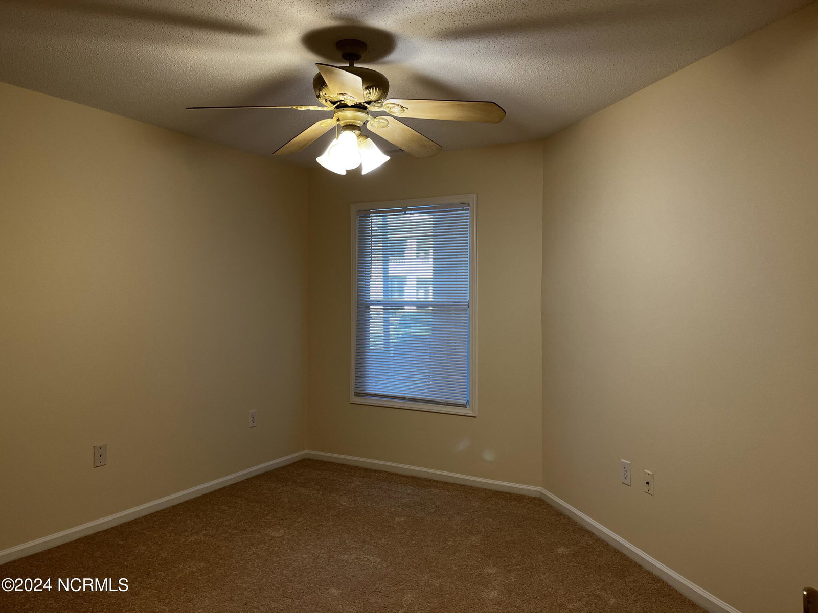 1141 Turtle Creek Road C, Greenville, NC 27858 — photo 5