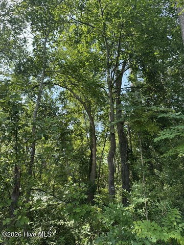 Lot 2 Newberry Landing, Roper, NC 27970 — photo 9