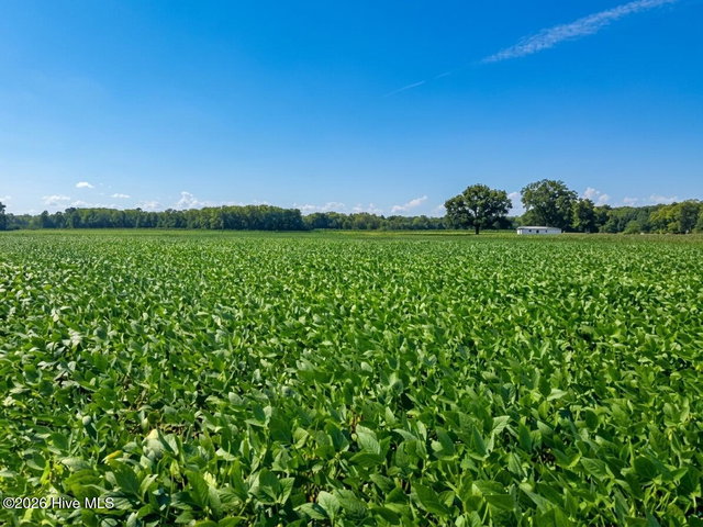 Lot 4 Red Oak Battleboro Road, Battleboro, NC 27809 — photo 3