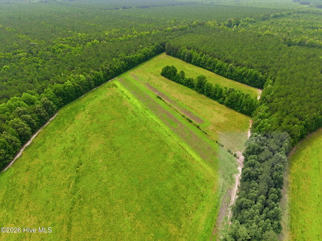 00 Gaskins Road, Grimesland, NC 27837 — photo 8