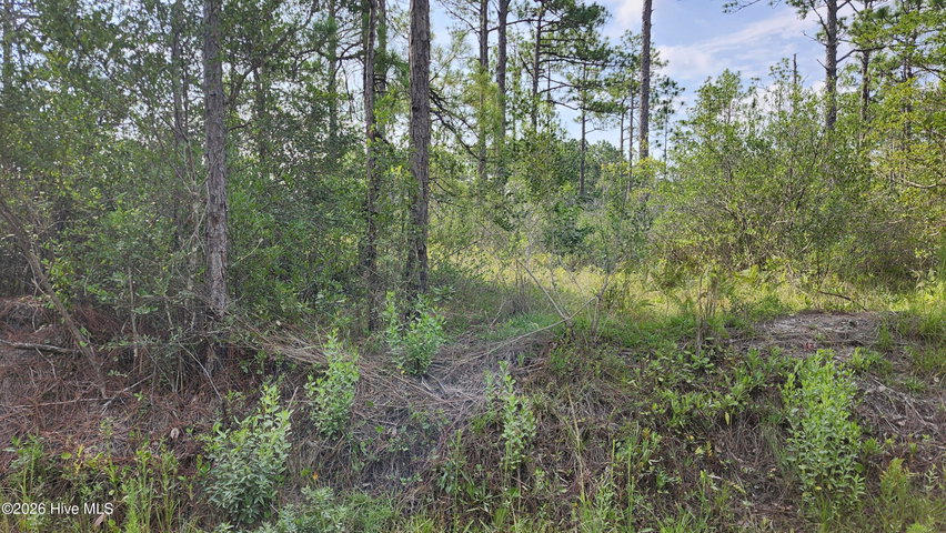 Lot 452 452 Queens Road image