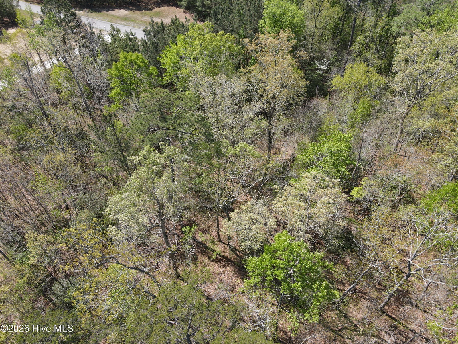 Lot 12 River Bluff Drive, Winton, NC 27986 — photo 5