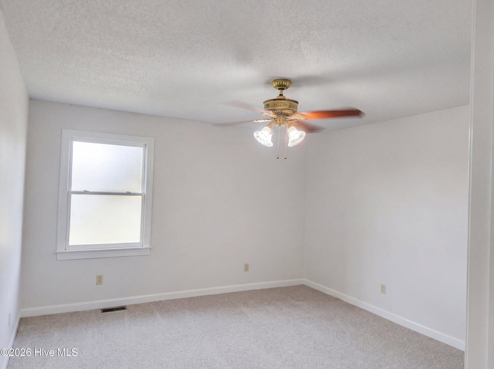1960 Edwards Fork Road, Scotland Neck, NC 27874 — photo 4
