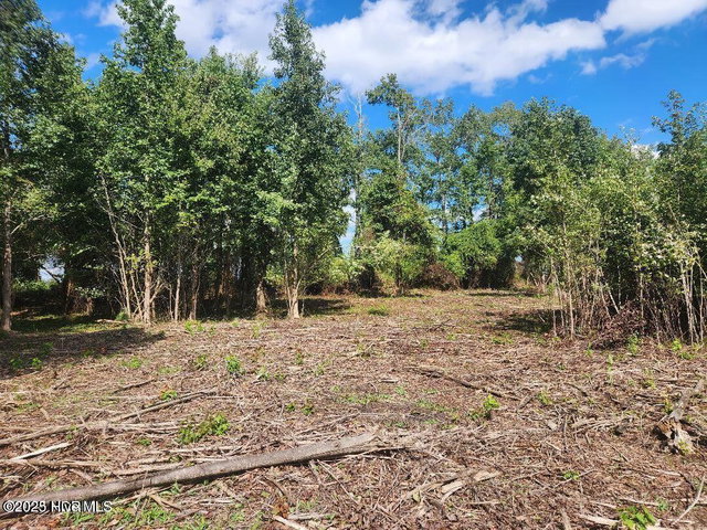 6943 1 Us 264 E, Greenville, NC 27834 — photo 11