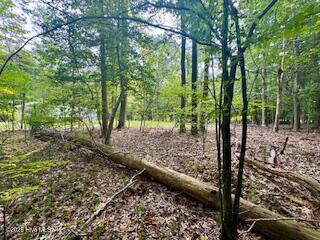 50,51,& 53 50,51, & 53 Chestnut & Teak Street, Hertford, NC 27944 — photo 2
