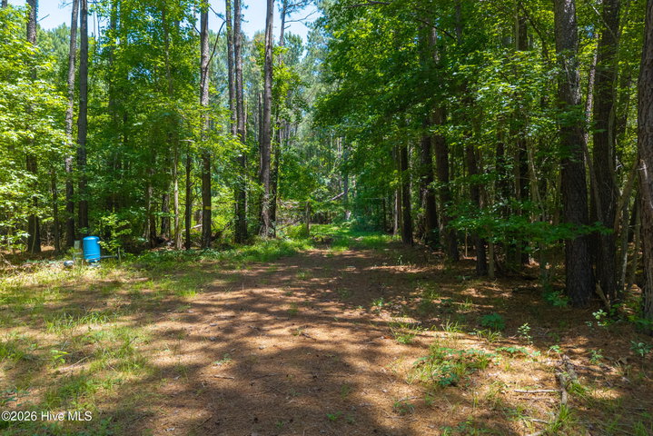 674 State Road 1415, Greenville, NC 27834 — photo 7