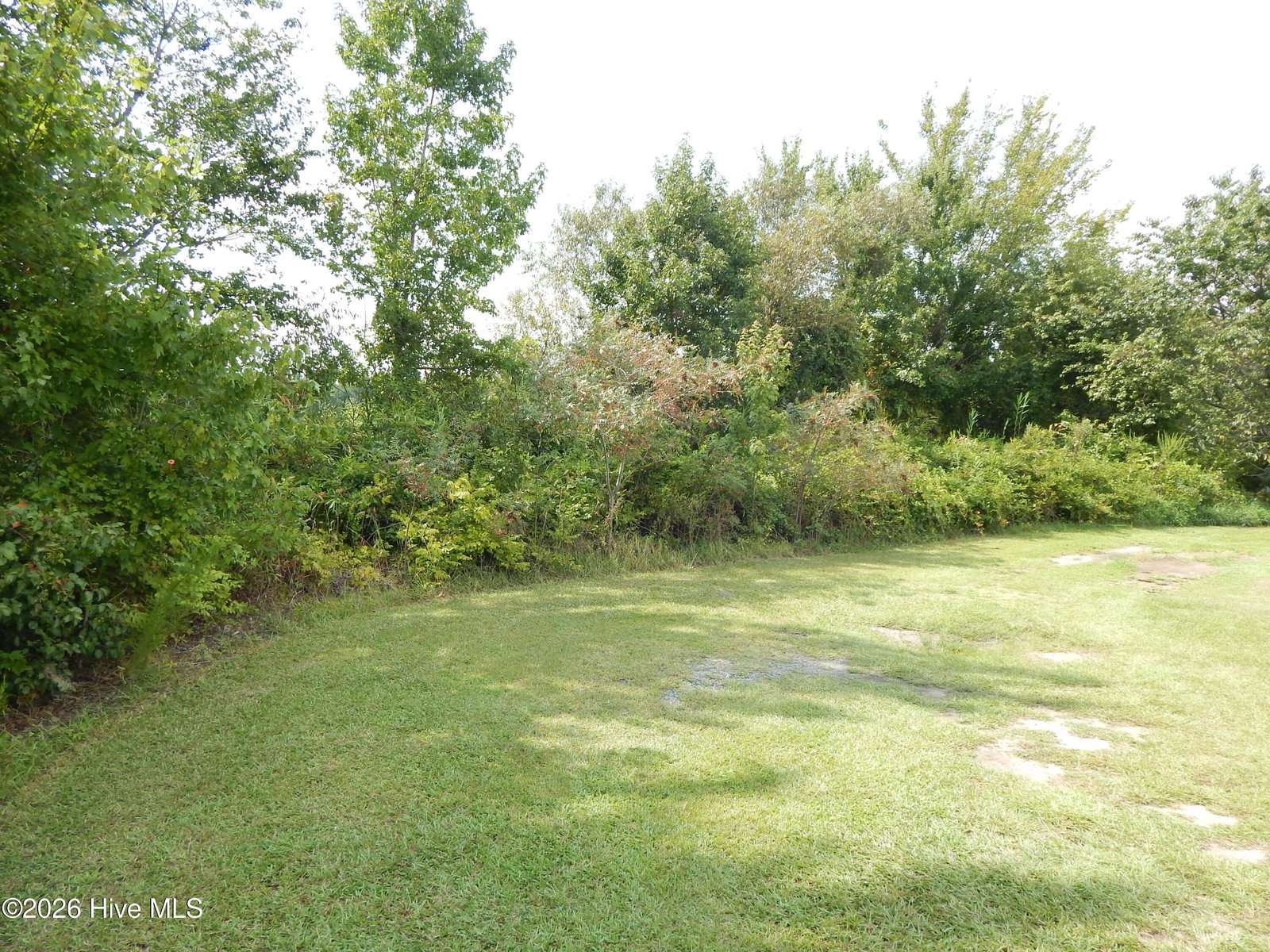 909 6 Gum Swamp Church Road, Greenville, NC 27834 — photo 3