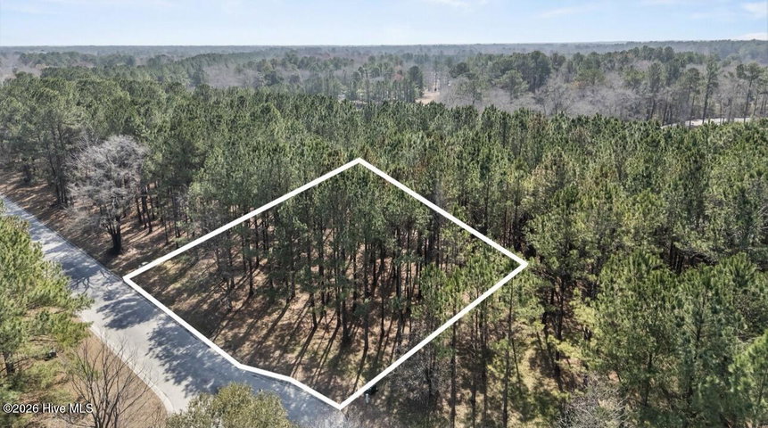 121 W Grandiflora Drive image