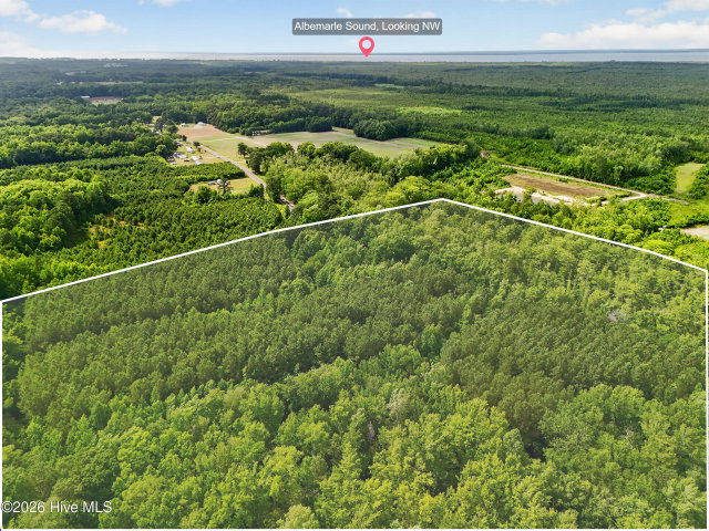 Tbd Pea Ridge Road, Roper, NC 27970 — photo 14