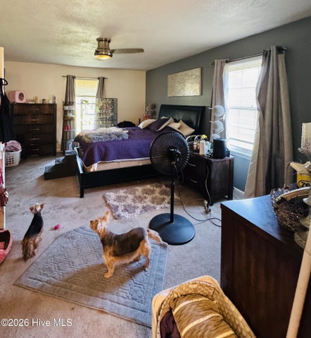 1613 Weeksville Road, Elizabeth City, NC 27909 — photo 15