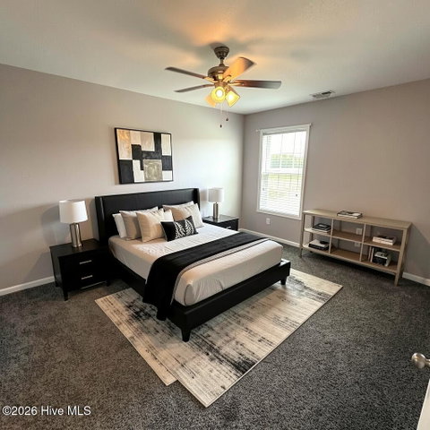 249 Winborne Lane, Edenton, NC 27932 — photo 14