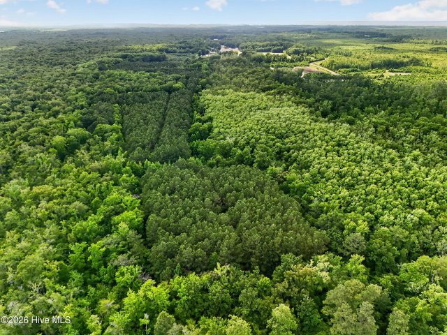 Tbd Pea Ridge Road, Roper, NC 27970 — photo 7