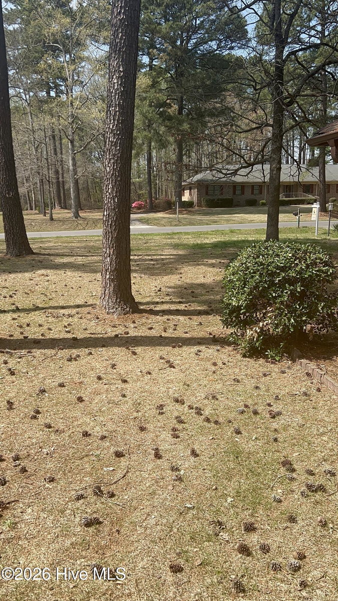 3017 Octavia Drive, Rocky Mount, NC 27804 — photo 4