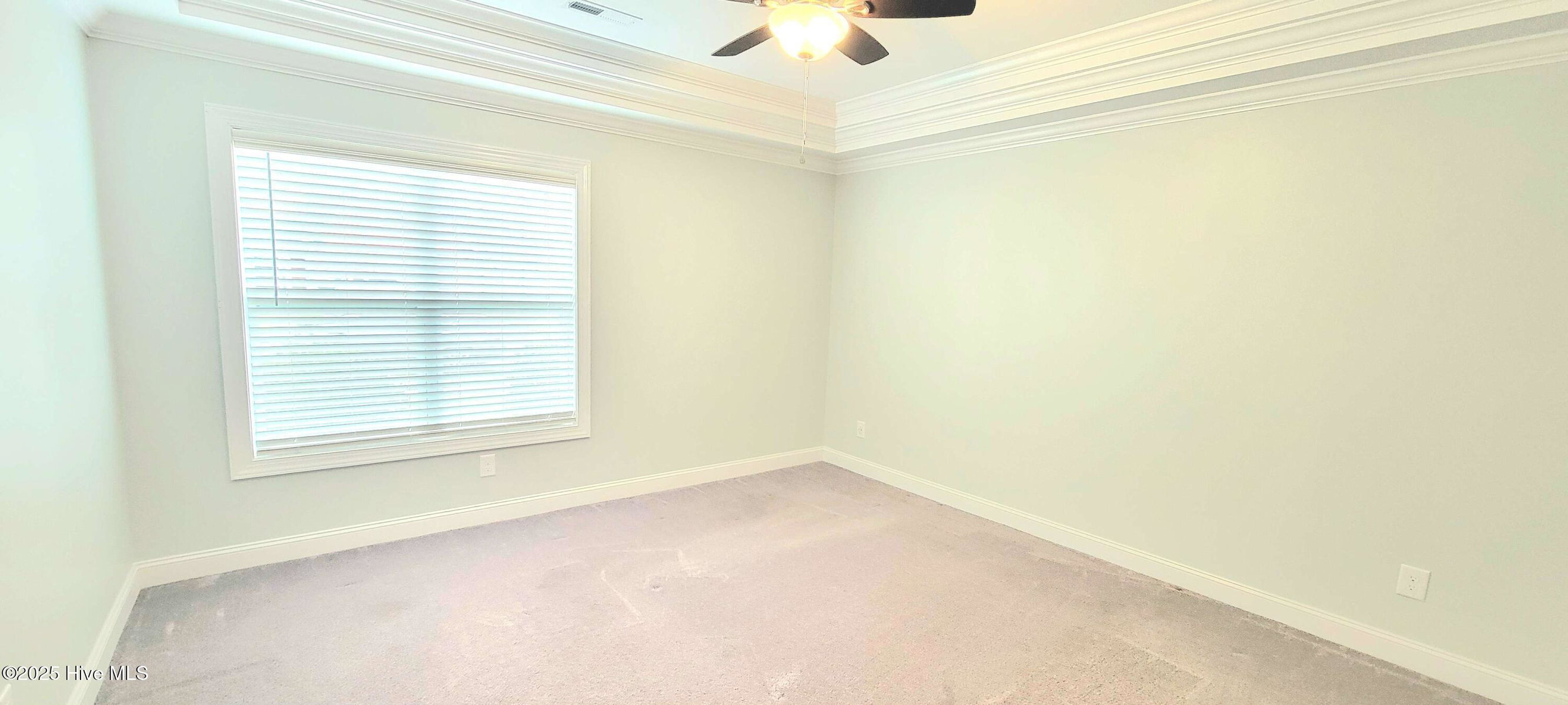 3924 Pensacola Drive, Greenville, NC 27834 — photo 5