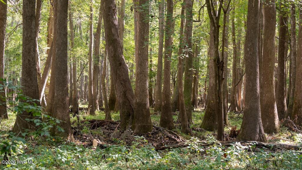 0 Spring Hill Road, Scotland Neck, NC 27874 — photo 2
