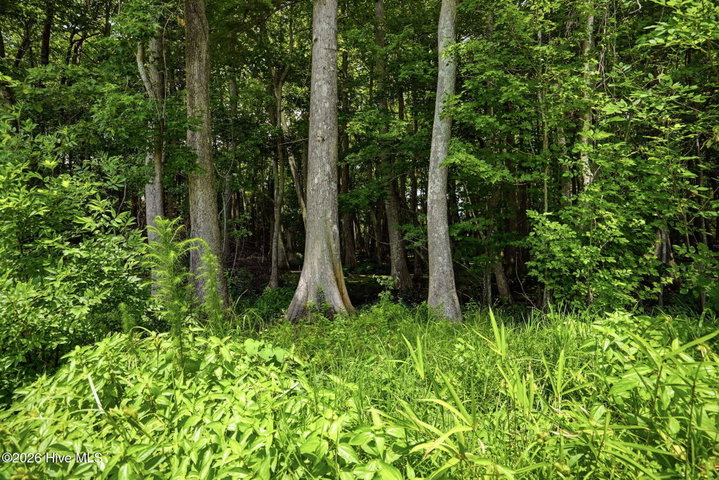 133 Becca Drive, Elizabeth City, NC 27909 — photo 75