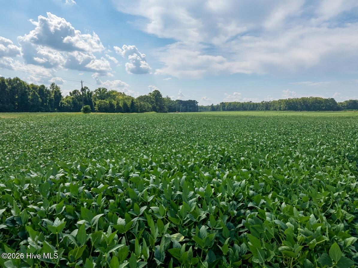 Lot 5 Red Oak Battleboro Road, Battleboro, NC 27809 — photo 4