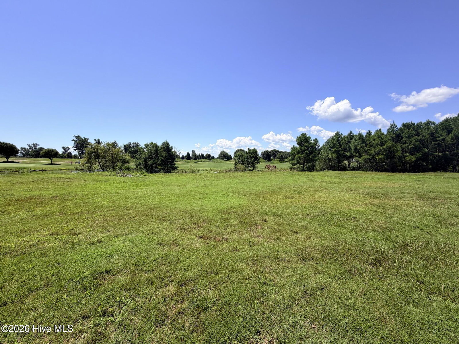 132 62 E Royal Way, Merry Hill, NC 27957 — photo 2