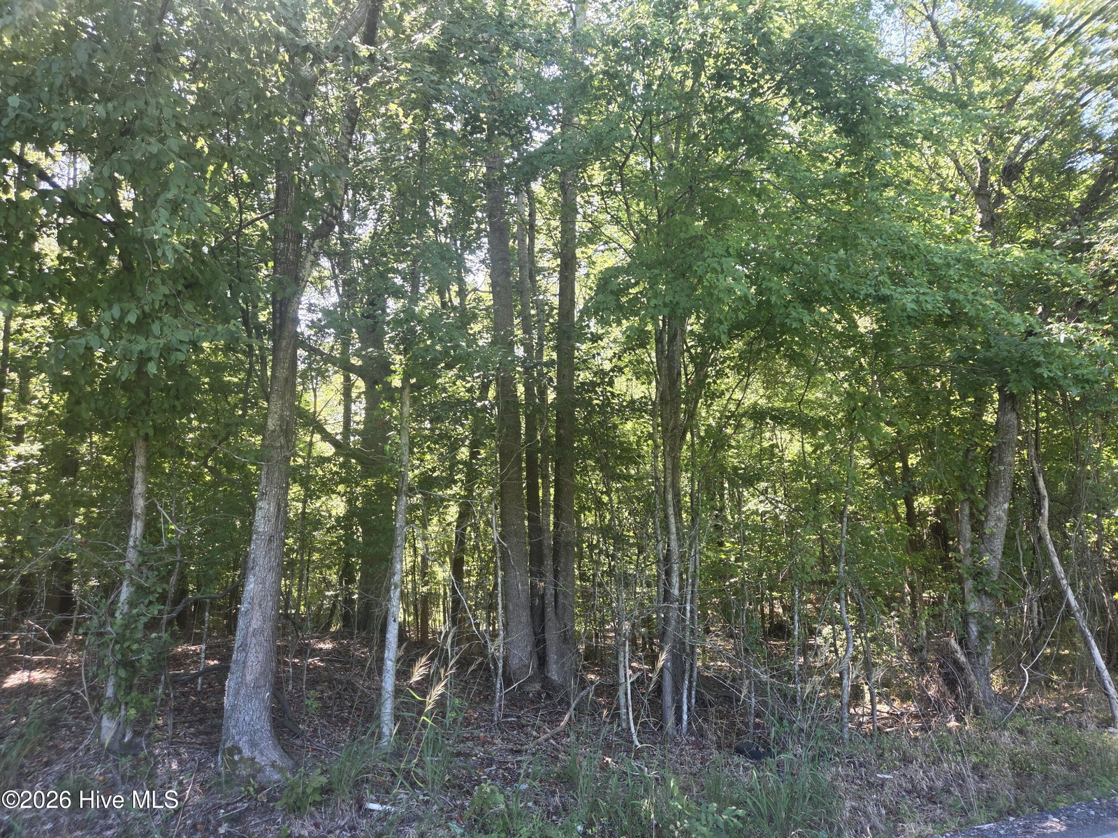 000 Camp Cale Road, Hertford, NC 27944 — photo 4
