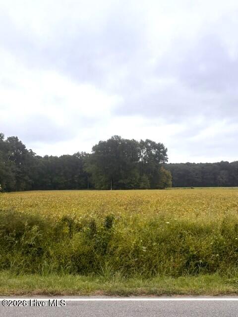 0 Rountree Road, Winterville, NC 28590 — photo 2