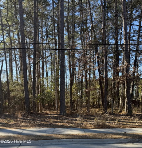 Lot 3 3 Springfield Road, Rocky Mount, NC 27801 — photo 2