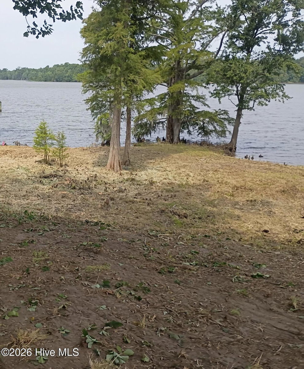 183 151 Herring Lane, Merry Hill, NC 27957 — photo 5