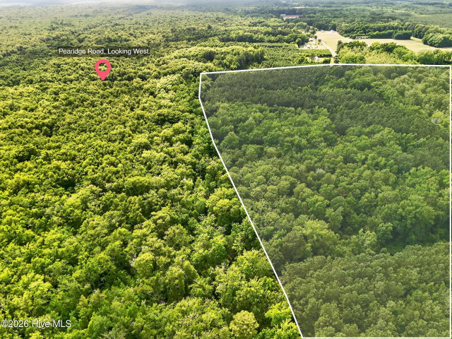 Tbd Pea Ridge Road, Roper, NC 27970 — photo 5