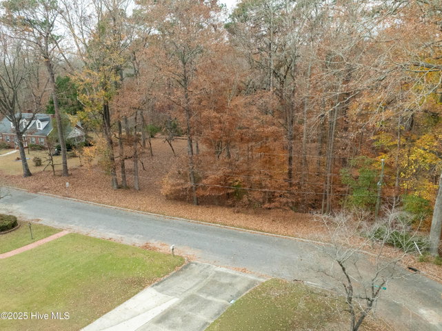 203 W Woodlawn Drive, Williamston, NC 27892 — photo 2
