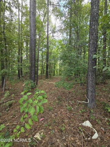 0 Mcnair Road, Plymouth, NC 27962 — photo 13