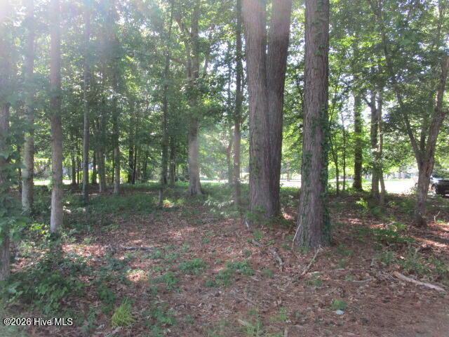 Lot 1 1 Roanoke Drive W, Hertford, NC 27944 — photo 4