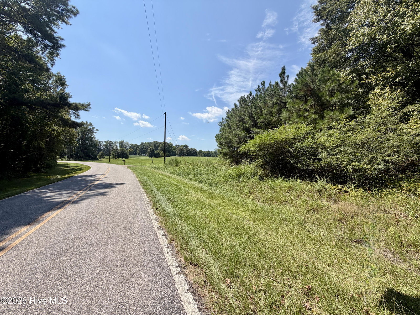 000 Mt Zion Church Road, Nashville, NC 27856 — photo 4