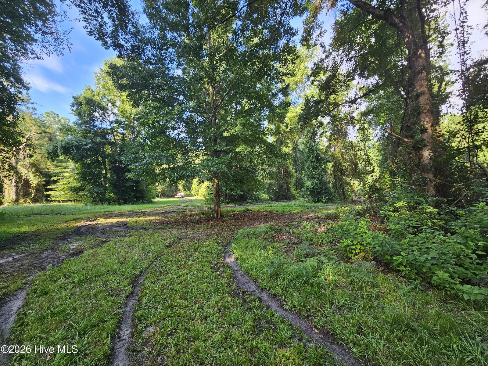 82 E Waterway Drive, Belhaven, NC 27810 — photo 3