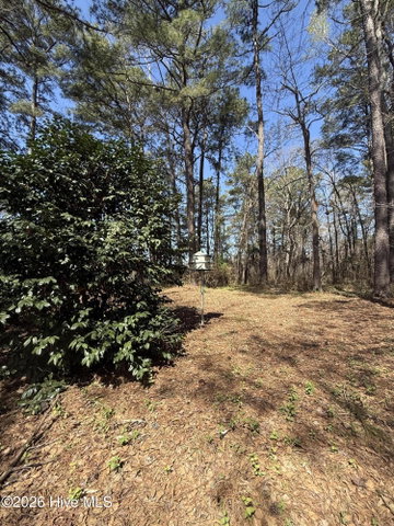 6484 Prison Camp Road, Williamston, NC 27892 — photo 11