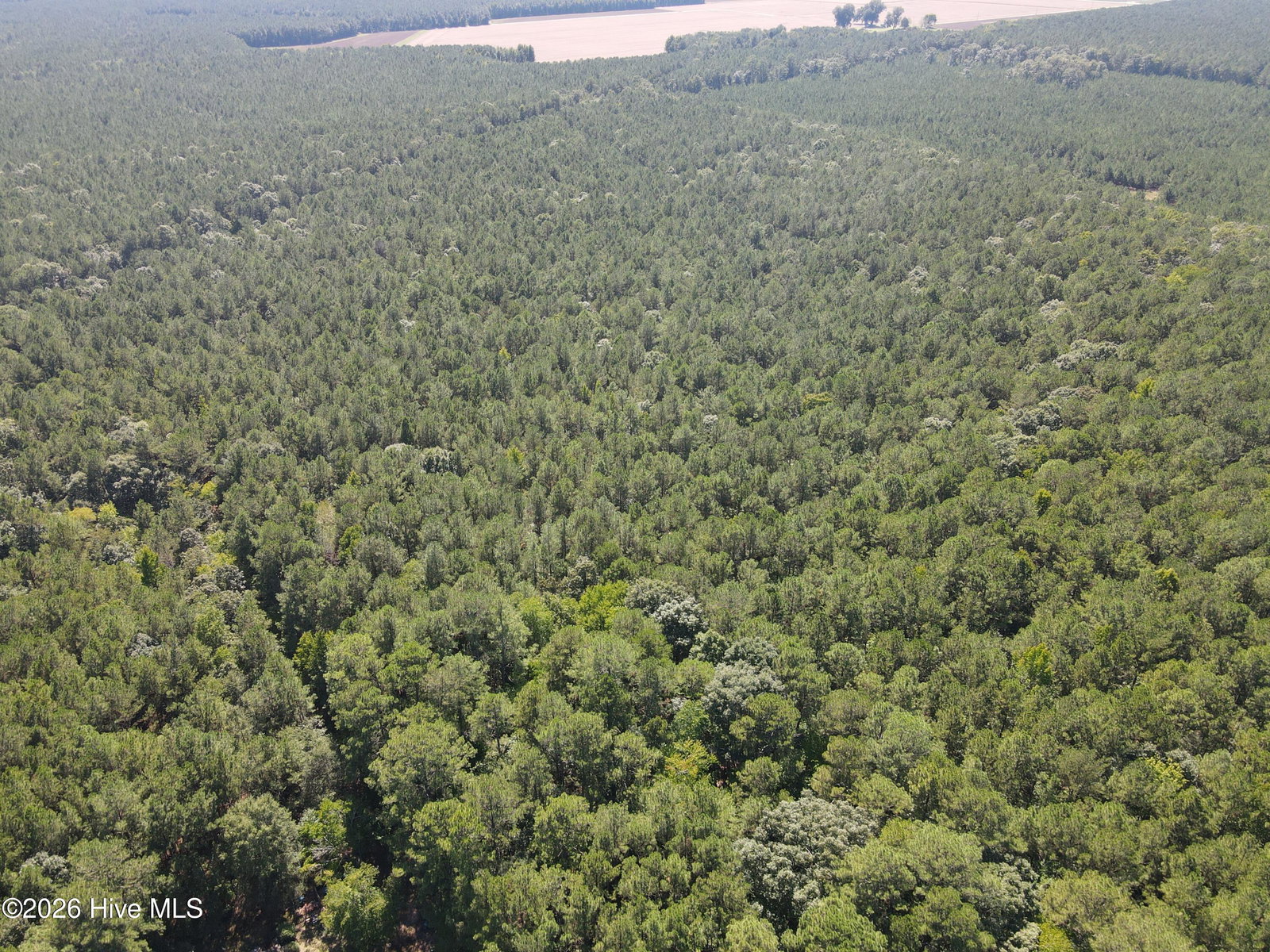 Tbd Nc 305, Jackson, NC 27845 — photo 5