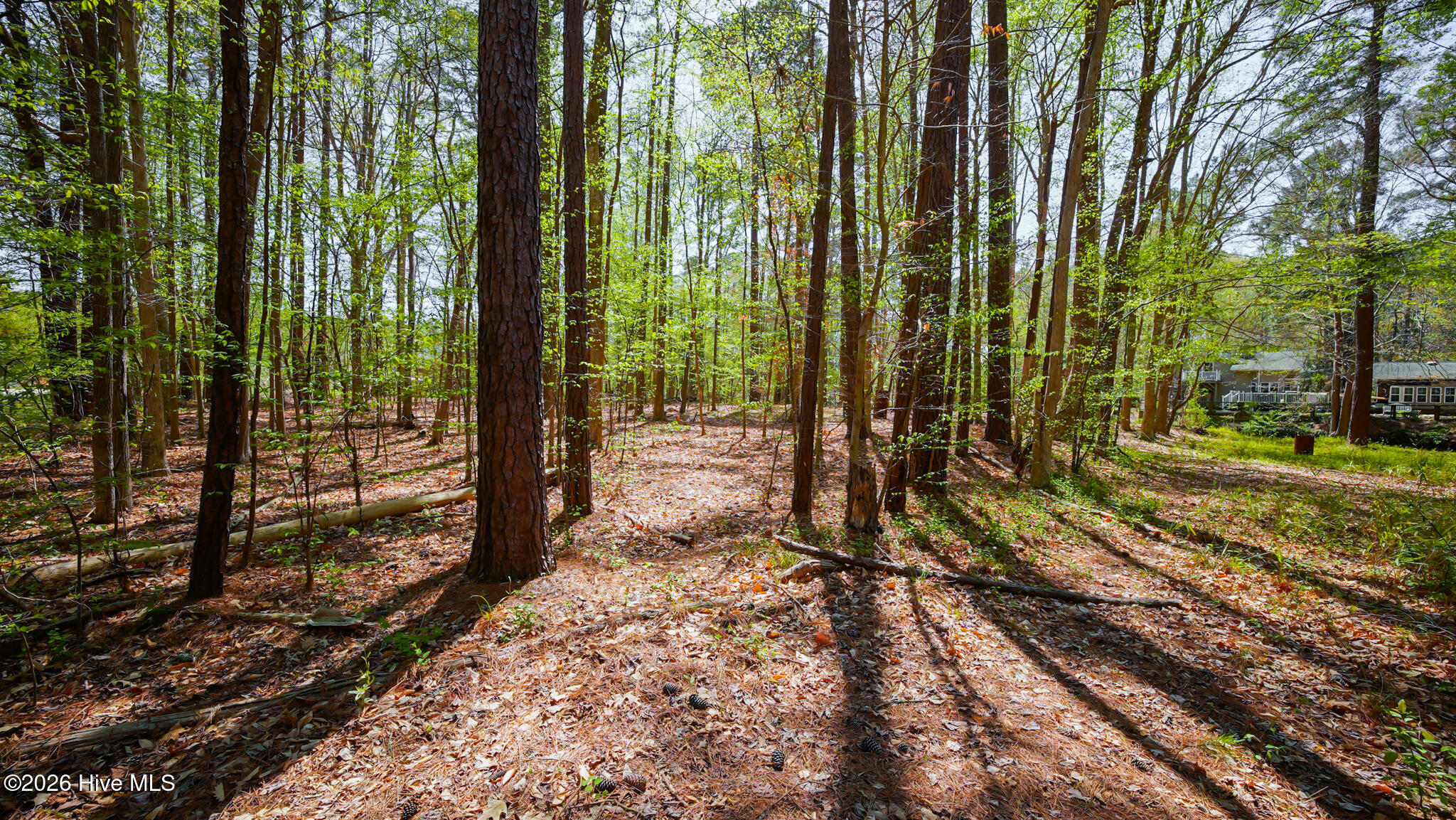Lot 35 Leeward Drive, Hertford, NC 27944 — photo 4