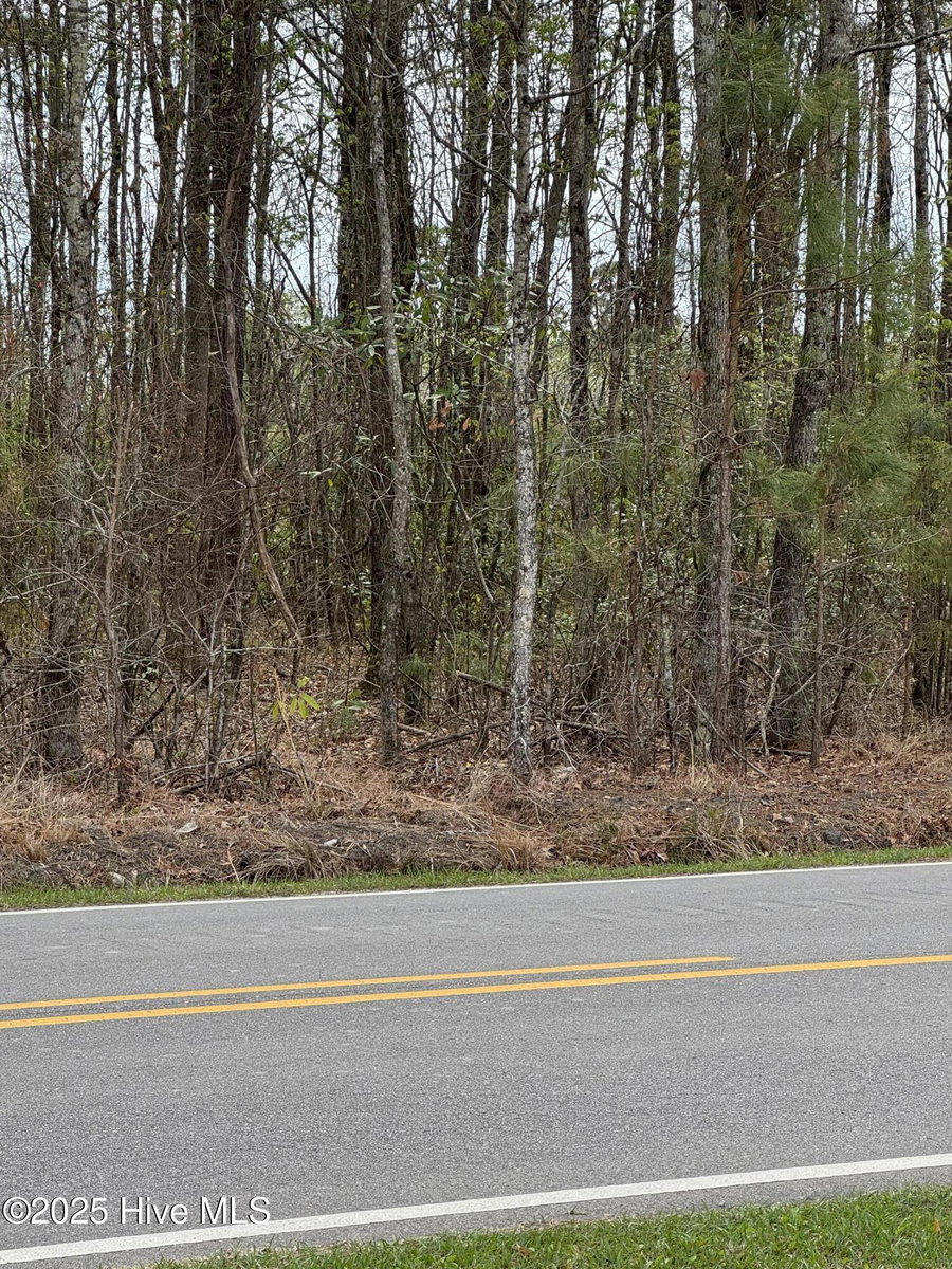 2338 Old Cherry Road, Creswell, NC 27928 — photo 2