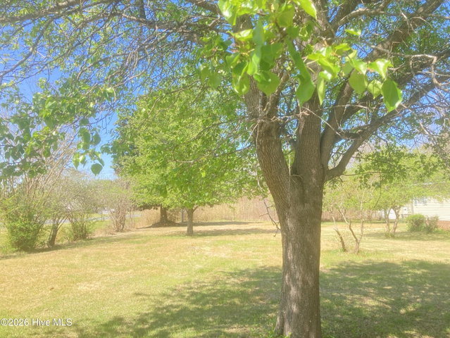1586 Gum Swamp Church Road, Greenville, NC 27834 — photo 106