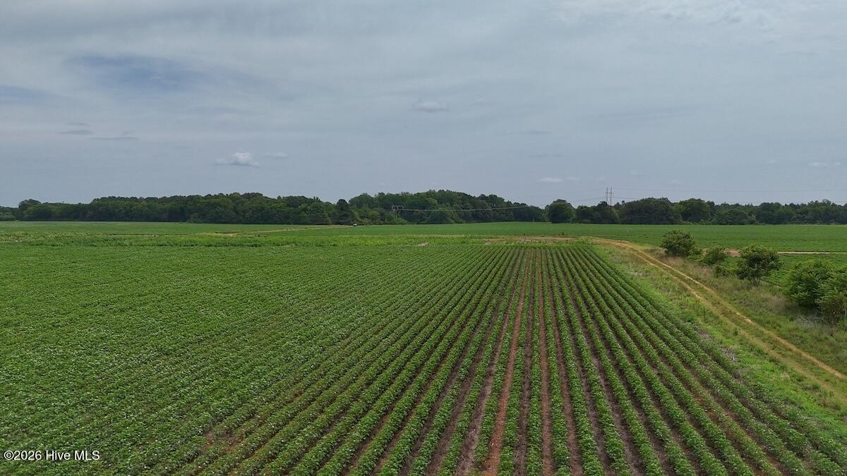 0 Nc-46, Gaston, NC 27832 — photo 4