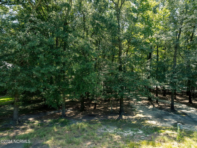 105 Legacy Oaks Drive image