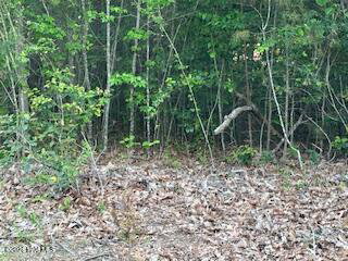 125 Mockingbird Lane, Hollister, NC 27844