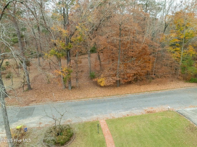 203 W Woodlawn Drive, Williamston, NC 27892 — photo 3