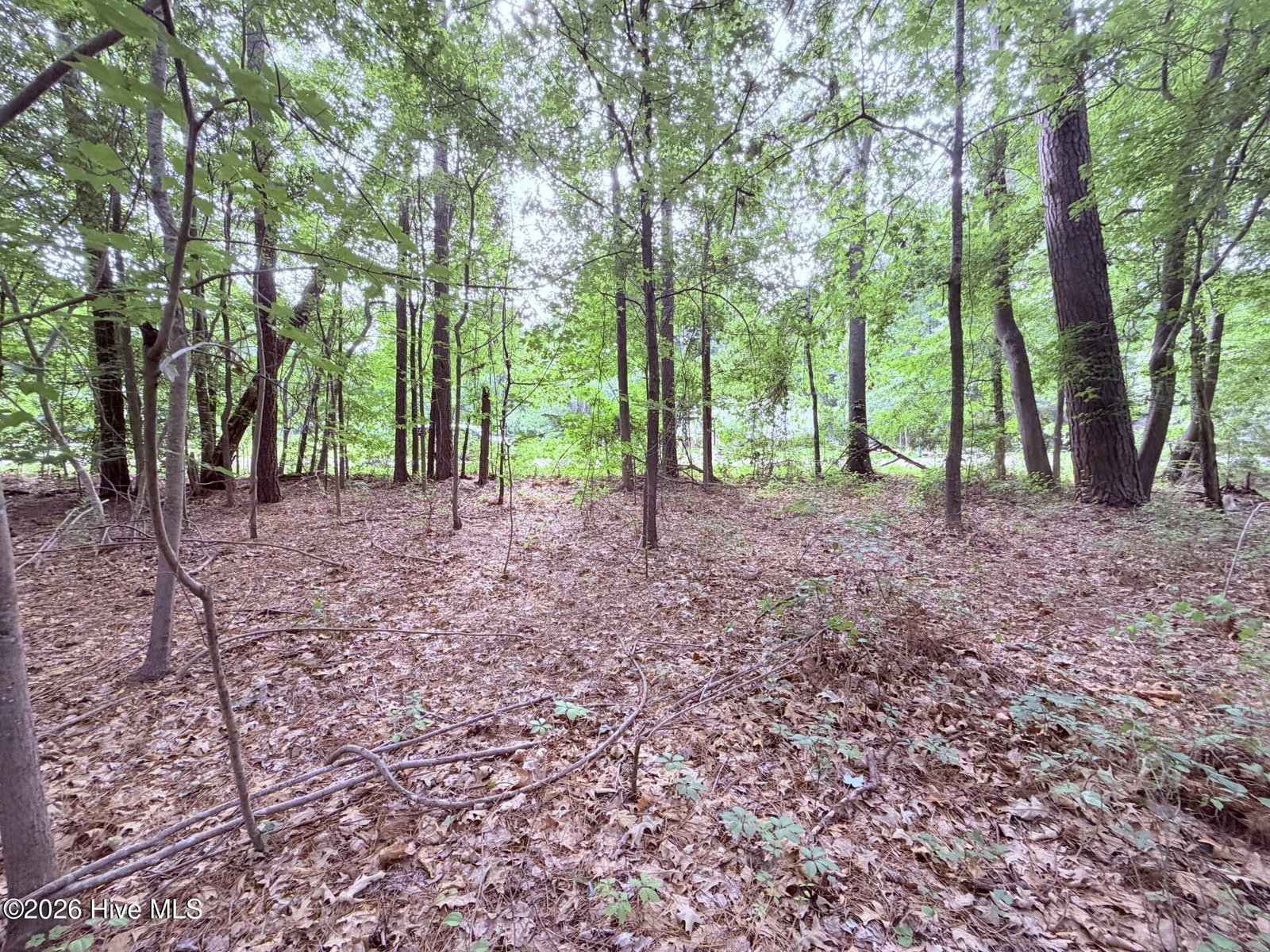 73 73 Laurel Street, Hertford, NC 27944 — photo 5